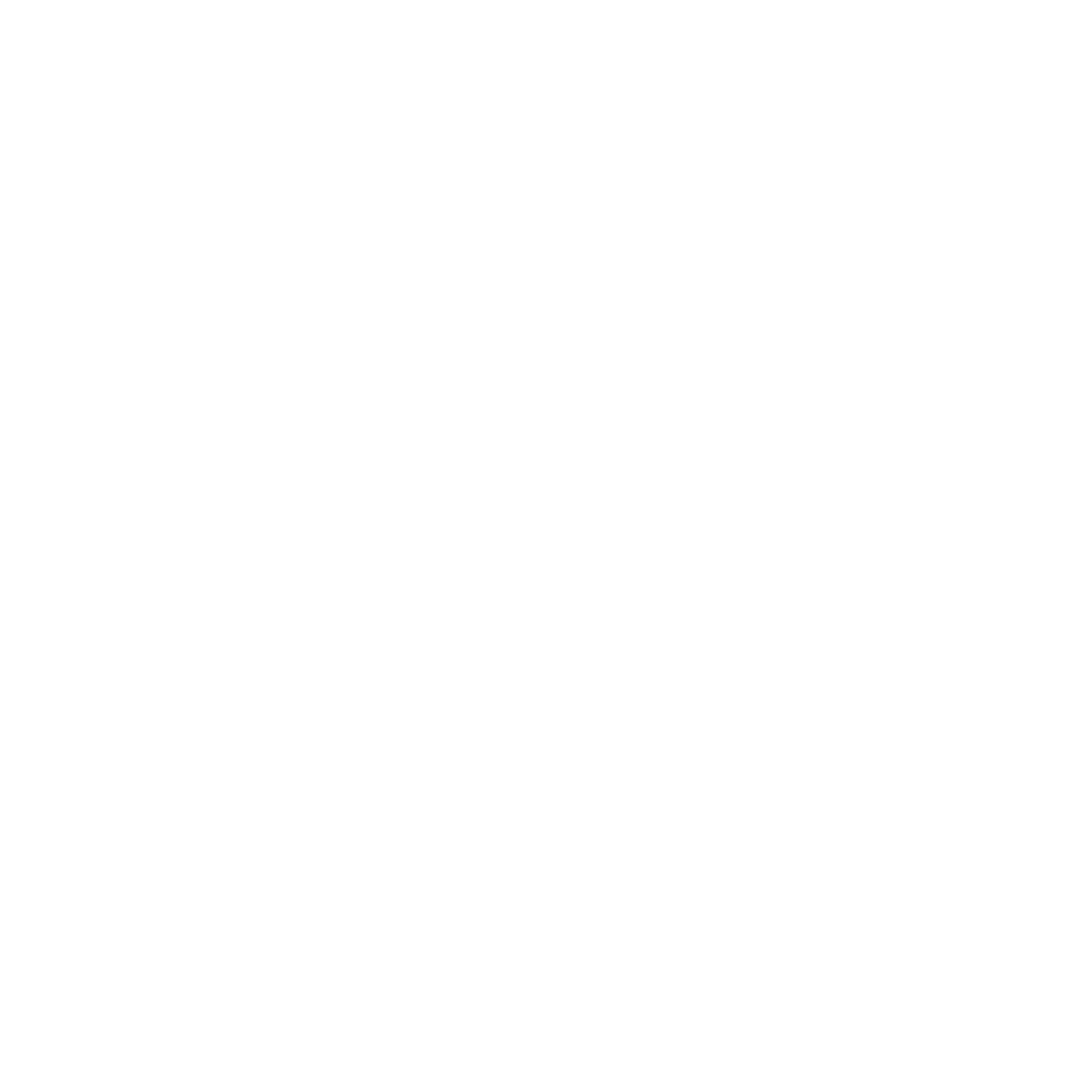 enfinine Logo weiß